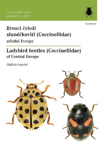 Encyklopedie Brouci (brouků jsou, hrudi zadečku, reprodukční orgány) Encyklopedie Brouci